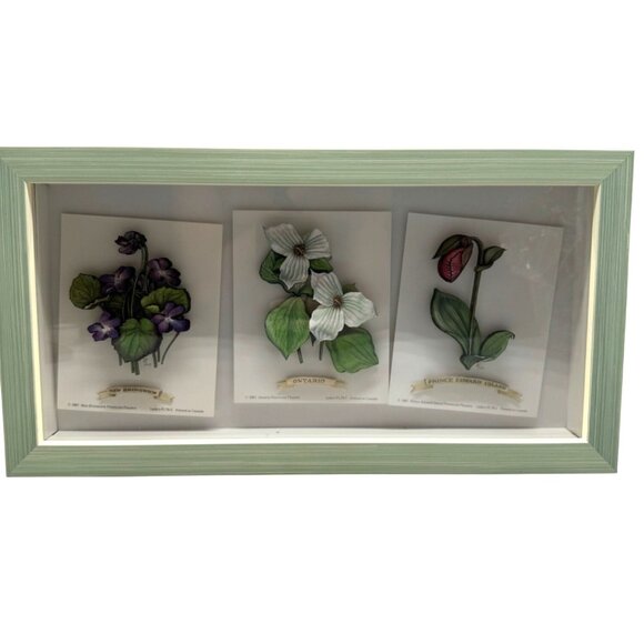 shadow box Framed 3D Botanical Prints Of Provincial Flowers green rectangle READ - Picture 1 of 16